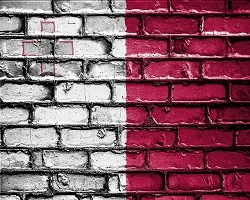 Main Rules for Malta Migration